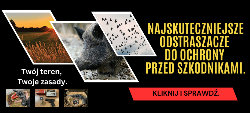 Offer Banner